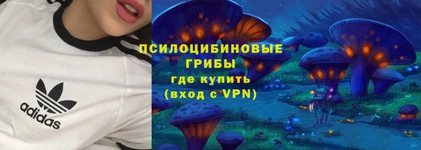 винт Богородицк