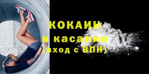 прущий лед Богданович