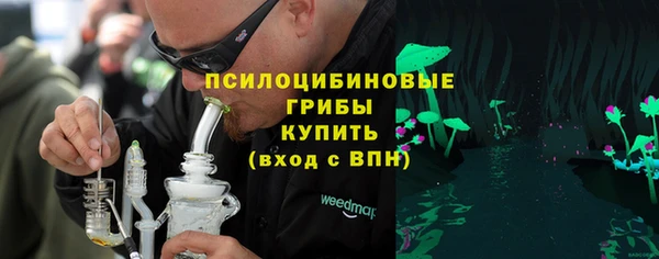 прущий лед Богданович