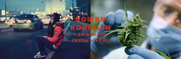 прущий лед Богданович