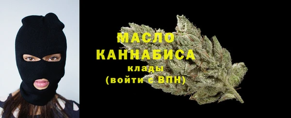 дживик Богородск