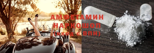 прущий лед Богданович
