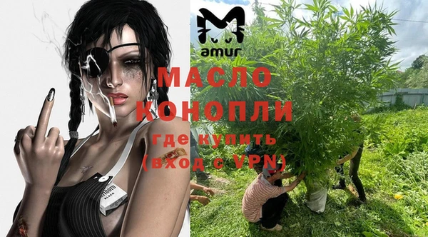 дживик Богородск