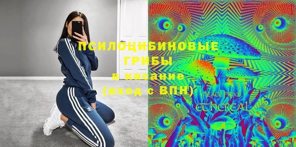 дживик Богородск