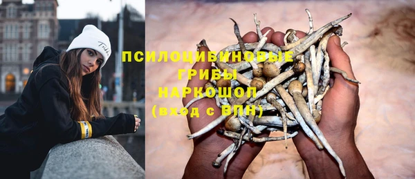 прущий лед Богданович