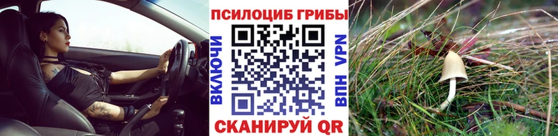Псилоцибиновые грибы Cubensis  Духовщина 